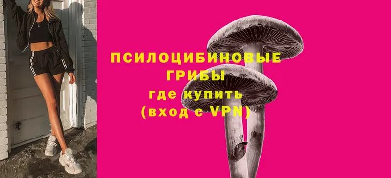 Псилоцибиновые грибы Psilocybe Бугуруслан